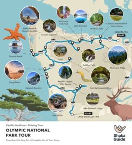 how-many-days-in-olympic-national-park_1753703132