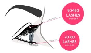 how-many-eyelashes-do-we-have_1753702343