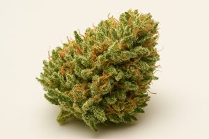 close-up of a green cannabis bud with white trichomes